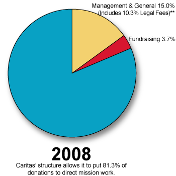 2008-pie-chart