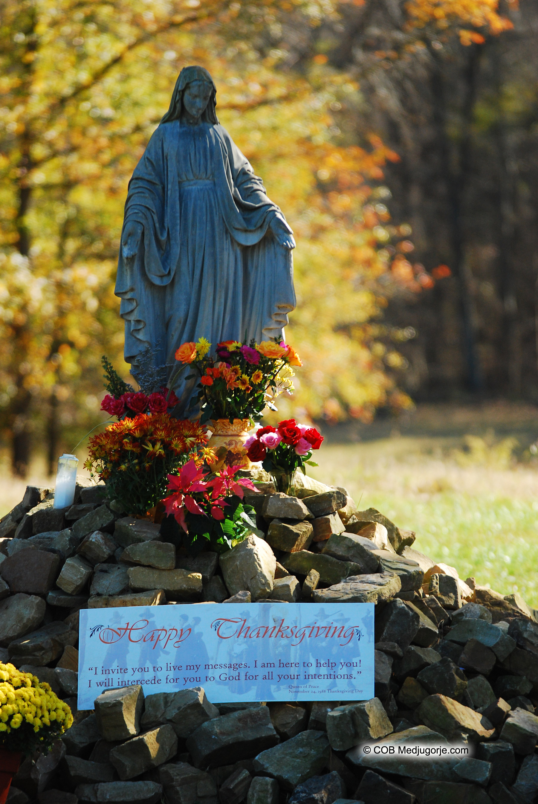 statue in the field of apparitions