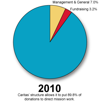 2010-pie-chart
