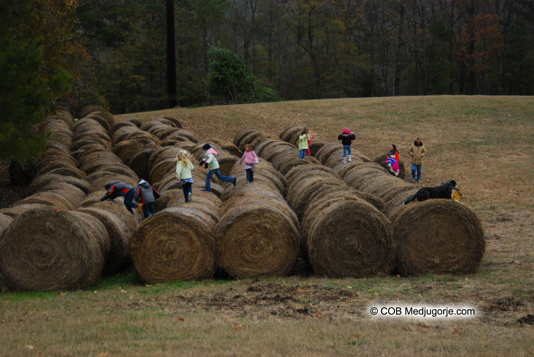 Kids playing on Hay Bales during Rosary December 8, 2010