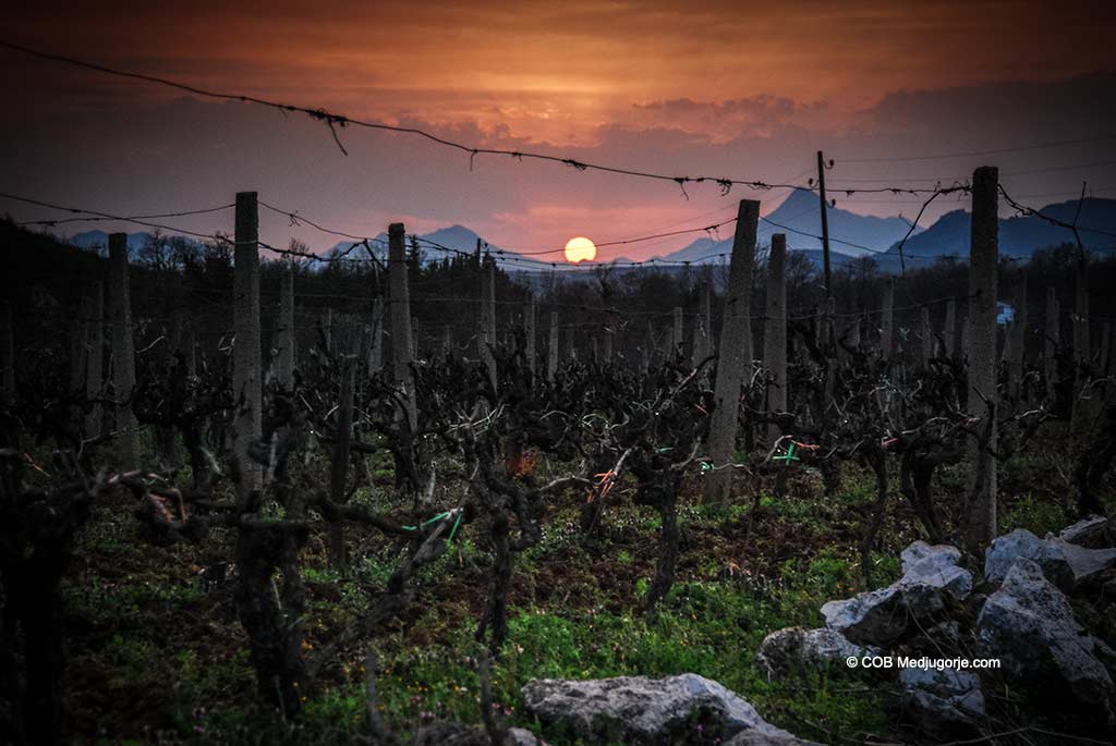 Sunset behind the vineyards in Medjugorje
