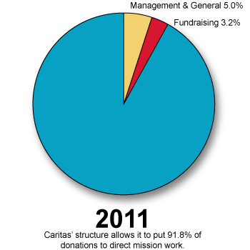 2011-pie-chart