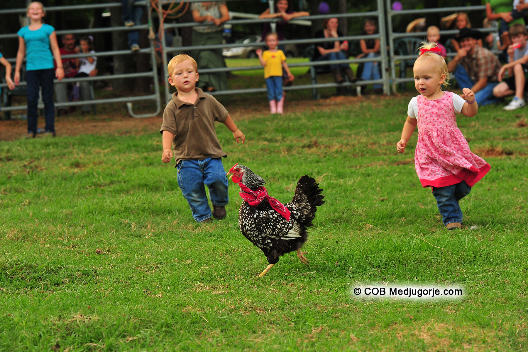 Caritas Community kids chasing rooster