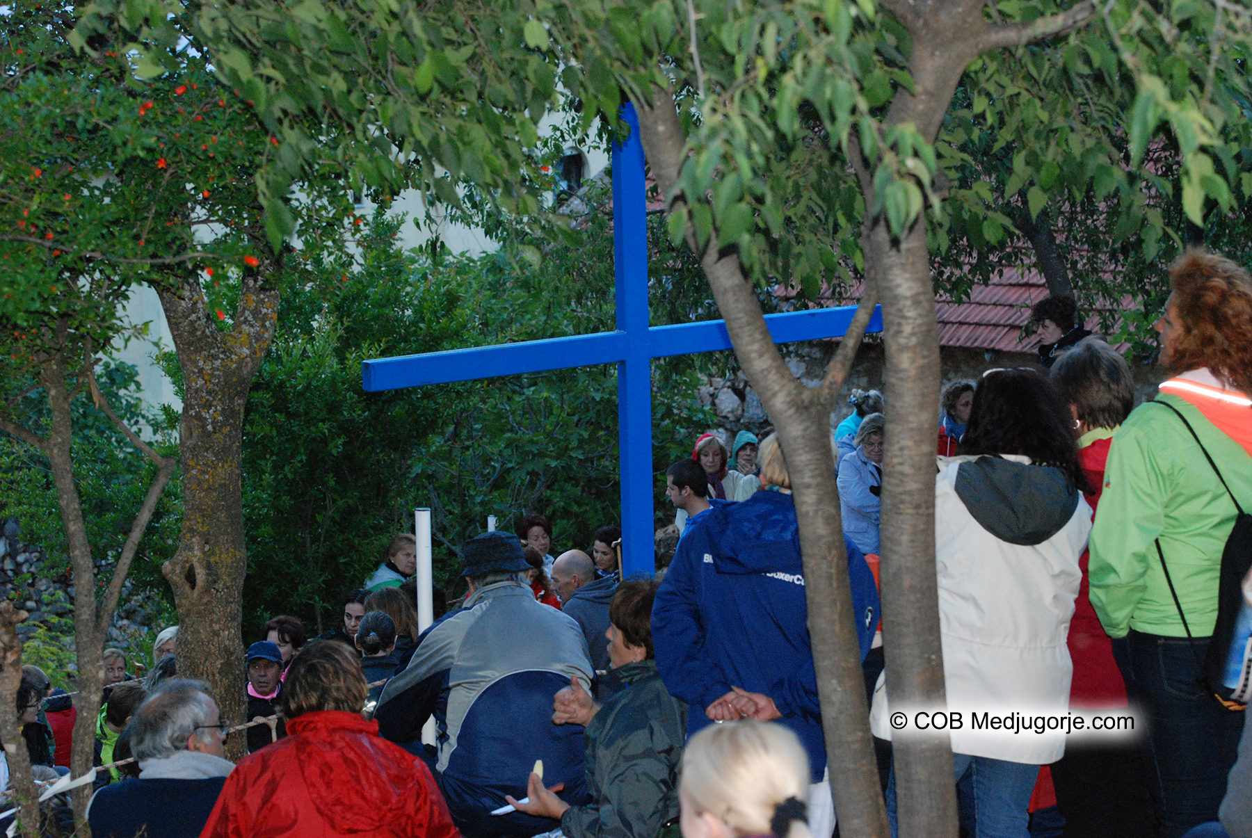 The Blue Cross at Ivan's Prayer Group May 24, 2013