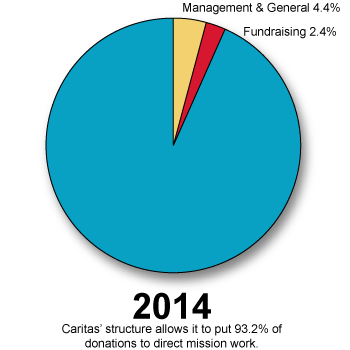 2014-pie-chart