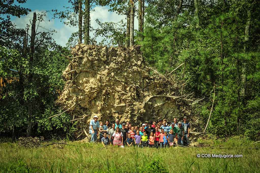 Caritas Community and huge stump