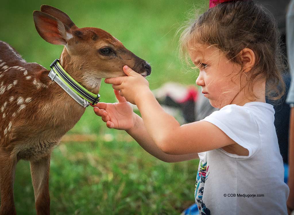 Polly Kate face to face with baby deer.