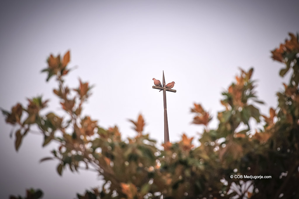Two doves, a family pair rest on a steeple in Medjugorje