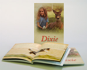 Dixie, by a Friend of Medjugorje