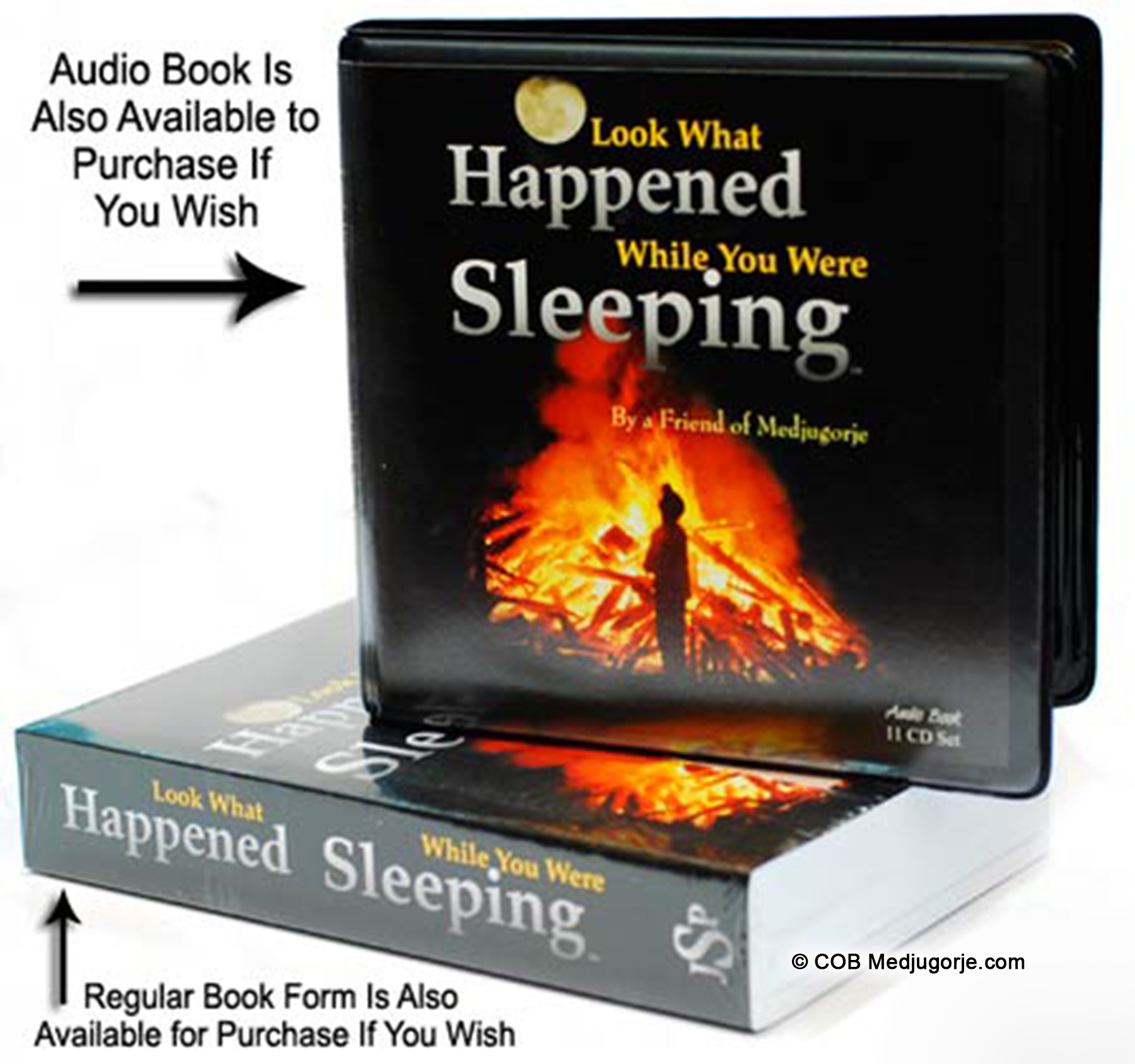 Look What Happened While You Were Sleeping Book and Audio Book