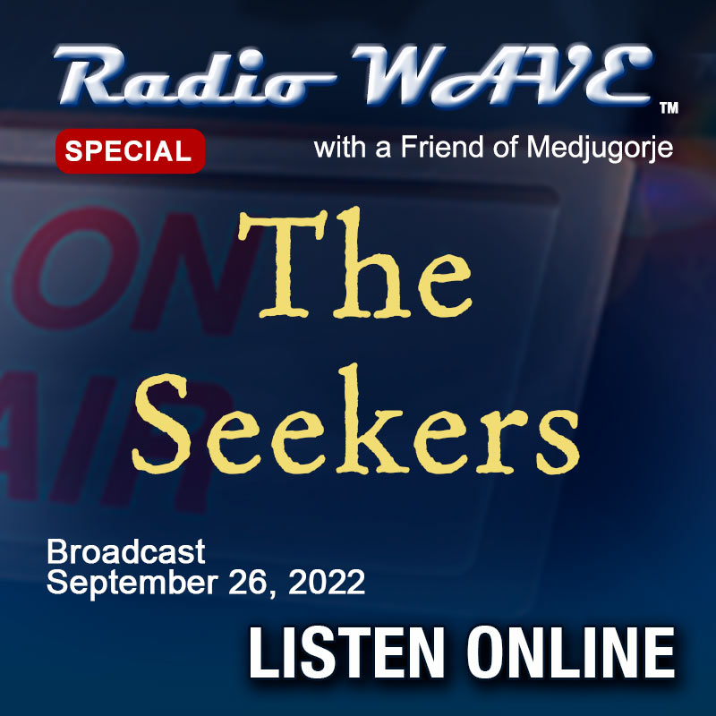 The Seekers - Radio Wave
