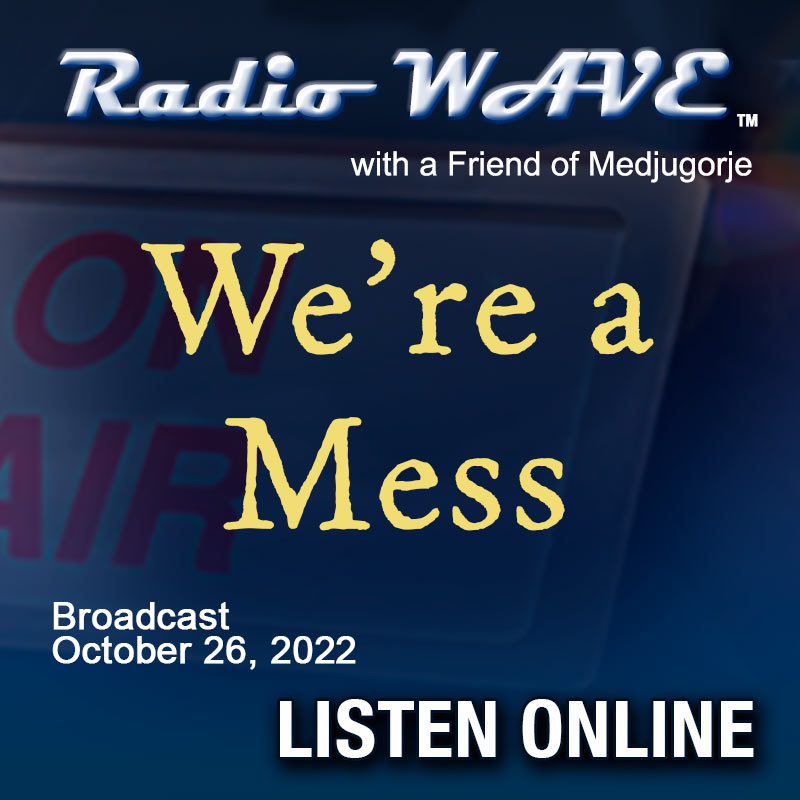 We're a Mess - Radio Wave